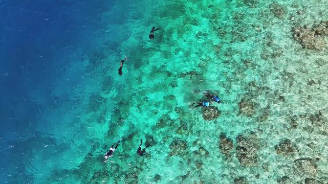 Aerial view of people snorkeling in crystal clear turquoise water over a vibrant coral reef near the deep blue ocean drop-off in Kamadhoo, Baa Atoll, Maldives.