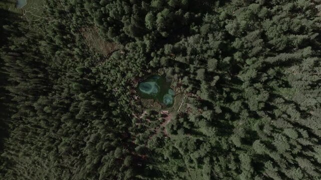 Drone footage of Geyser Lake with bright turquoise mineral pools in dense taiga forest near Aktash, Altai Republic, Russia, remote nature travel landscape