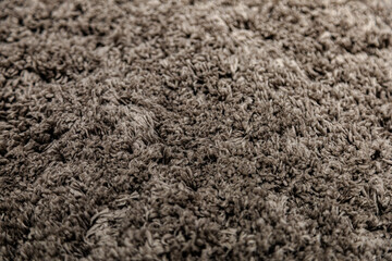 Brown Shaggy Carpet Texture Surface Background © Akrapong