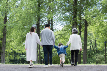Fototapeta premium 新緑の公園を歩く三世代家族の手をつなぐ幸せなファミリーライフ顔無しの後ろ姿全身