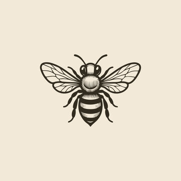 Bee logo vector illustration