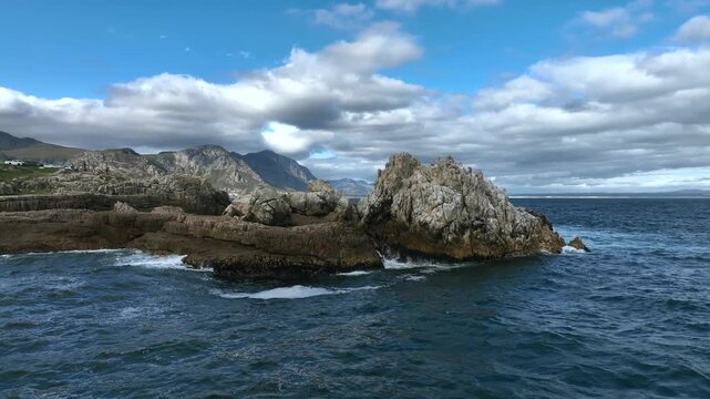 Aerial view of the seaside cliffs and some seabirds in Hermanus, South Africa.