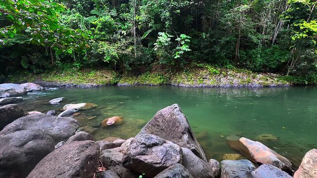 A calm green river flows through a lush tropical forest, bordered by large gray rocks and dense leafy vegetation. 