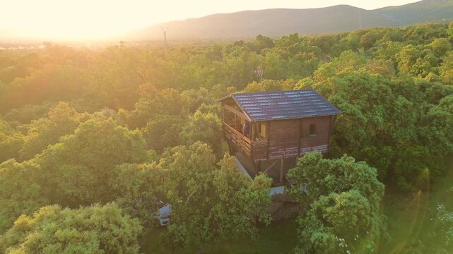 Drone pulling away from treehouse in vast forest at sunset, aerial reveal of nature landscape and eco living concept