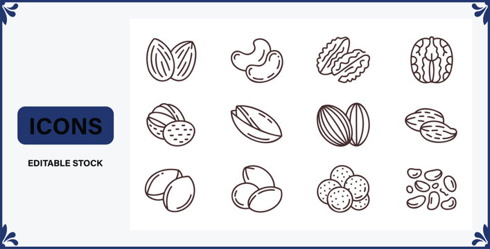 Collection of various nuts line icons for food and healthy eating concepts  nuts illustrations