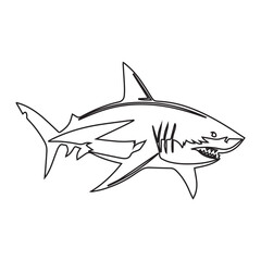 Obraz premium Shark Outline Illustration