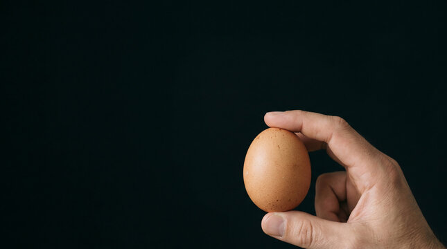 hand holding egg. Close-up hand in lower-right holding single smooth light brown egg against deep black.
