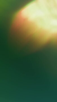 Vertical video. Flash leak blur. Retro flare. Bright white orange flame burn film dark green blue background. Abstract color aged luminosity texture.