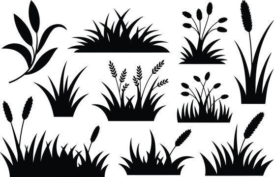 Black silhouette collection of various grasses reeds and cattails on a white background