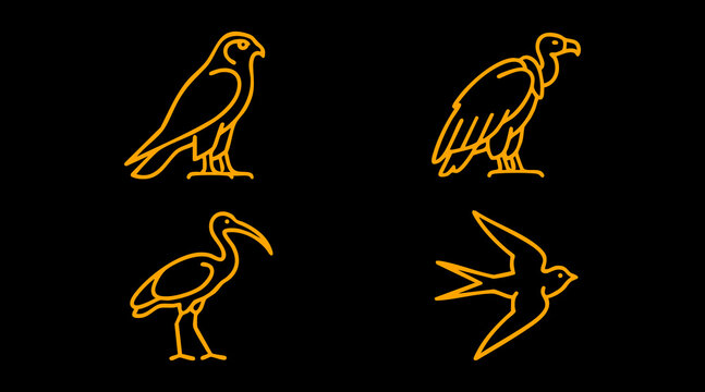 Yellow neon line art vector illustration of four distinct birds including a falcon vulture ibis and swallow for design projects