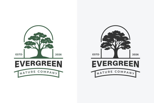 Tree Vintage Emblem For Nature Company Logo Icon Design. Vintage evergreen tree badge logo template