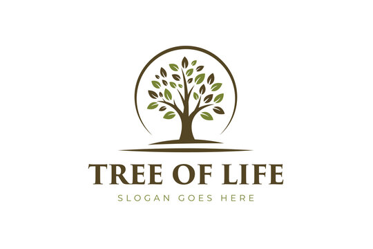 Tree Of Life Circular Frame For Wellness And Environment Company Logo Design