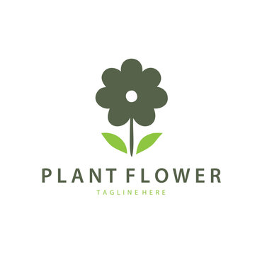 Luxury floral logo classy and premium concept for high end brand identity