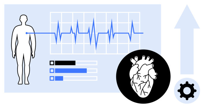 Cardiovascular health concept. Cardiovascular health monitoring and analysis with ECG data and human health observation. Cardiovascular technology for diagnostics, fitness, and healthcare