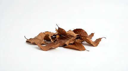 Fototapeta premium A pile of dry, brown leaves scattered against a clean white background, evoking the essence of autumn's gentle decay and the passage of time