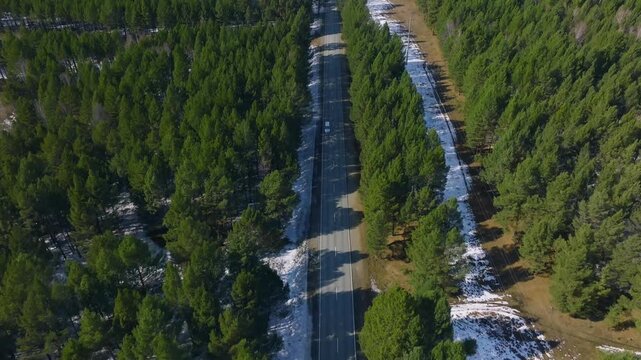Drone footage of a long straight asphalt road cutting through conifer forest with melting snow patches, mountains on horizon, Buryatia, Russia, sunny day