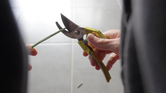 Cutting wire with yellow pruning shears. Close-up of metal blades and mechanical cutting process of a thin cable in a workshop.