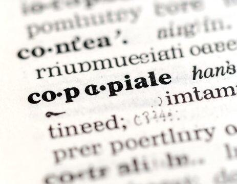 Close up of dictionary page with definition word in focus