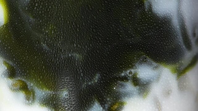 4K stunning macro shot concentrated green tea matcha swirling into fresh milk inside glass with condensation, Marbling effect of matcha latte refreshment healthy beverage trends.