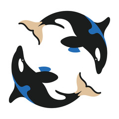 Three orcas swimming in a circle © AlphaEdgeX