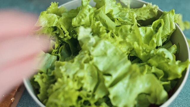 Hands mix fresh lettuce and tomatoes in a bowl as part of salad preparation. This activity occurs in a kitchen, showcasing food preparation techniques and healthy eating practices
