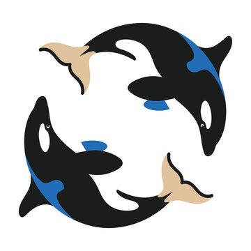 Three orcas swimming in a circle