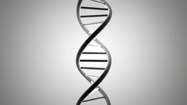 A 3D rendering of a DNA double helix structure, representing the building blocks of life and genetic information, displayed against a neutral background