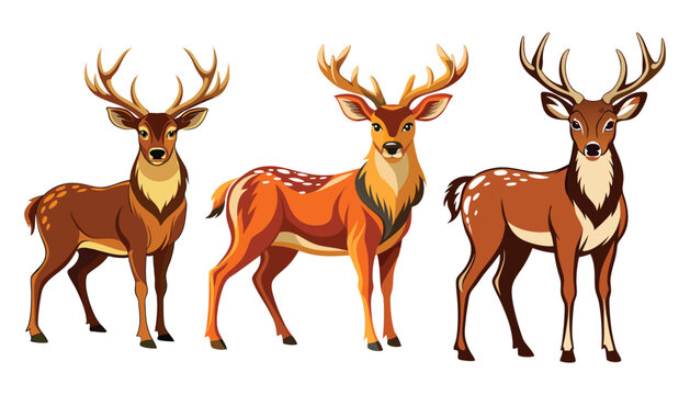 Mule deer set clipart vector illustration