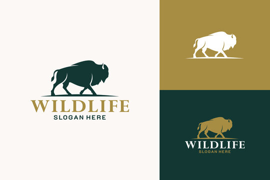 Bison Wildlife Logo Template