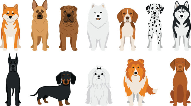 Dog breed portrait collection. Flat vector set of diverse purebred puppies including Husky, Shiba Inu, and Beagle. Cute pet characters for veterinary and animal clinic.