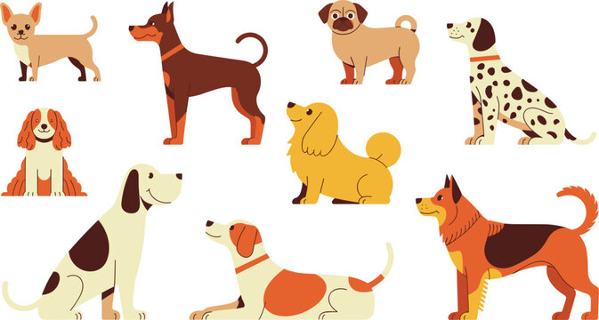 Flat vector dog breed set. Cute cartoon puppy collection including Pug, Doberman, and Chihuahua. Domestic pet characters for veterinary care, animal shelter, and grooming.