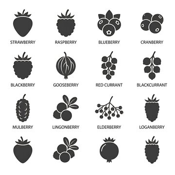 Berries icons set with names.
