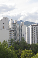 Fototapeta premium A landscape with forests and apartments