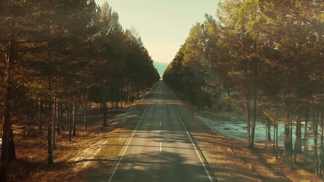 Aerial footage of a long straight highway cutting through a pine forest at golden hour near Arshan village, Republic of Buryatia, Russia, with distant mountains on horizon