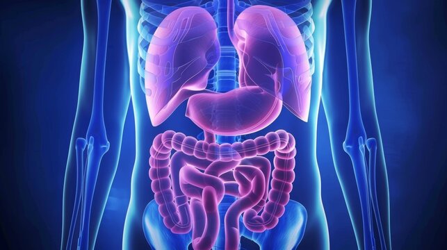 Protozoan Infection: Etiology, Clinical Manifestations, Diagnostic Approaches and Antiparasitic Treatment Strategies