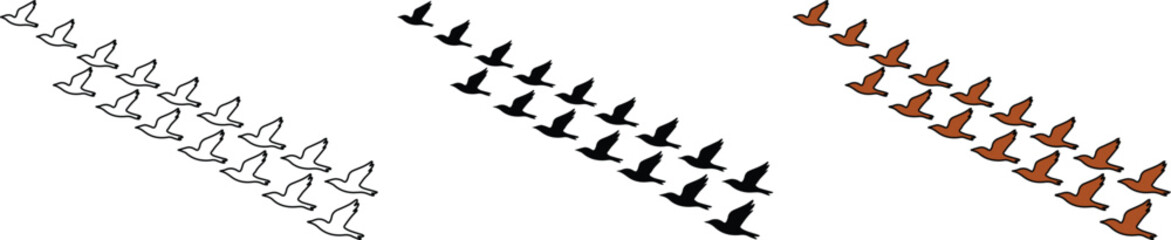 Flying birds vector set, a collection of geese or ducks in flight, migration patterns, nature and wildlife illustration, black, brown, and outline silhouettes for design elements © Shanza