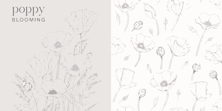 Line Draw Poppy Poppy Line Drawing Images – Browse 32,241 Stock Photos, Vectors, and ...