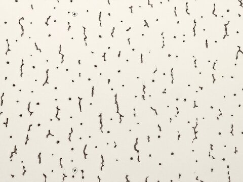 Close up of white acoustic ceiling tile texture with holes