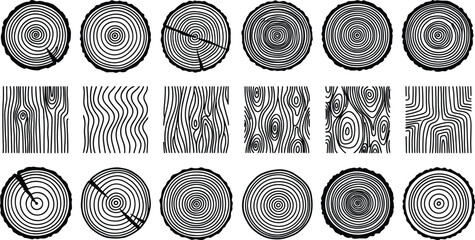 Set of Wood Grain Textures and Tree Ring Cross Section Vector Icons © MstSuraiya