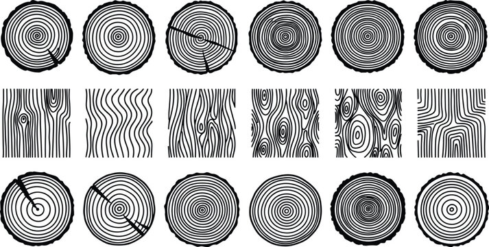 Set of Wood Grain Textures and Tree Ring Cross Section Vector Icons