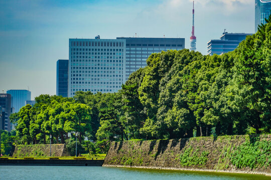 皇居の石垣と緑景観