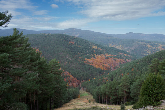 Wide mountain landscape in Sierra Cebollera Natural Park, La Rioja, Spain, with dense pine forest, autumn colors and a visible firebreak cutting through the hillside under a partly cloudy sky