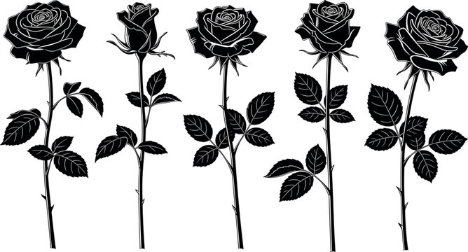 Collection of Black Rose Flower Silhouettes with Long Stems and Leaves Isolated on White Background