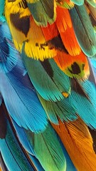 Obraz premium Close up of vibrant macaw feathers showcasing colorful plumage detail