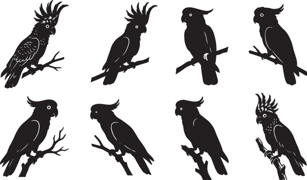 Black cockatoo silhouette vector set, 8 tropical parrot icons on branches, exotic bird stencil collection in EPS format