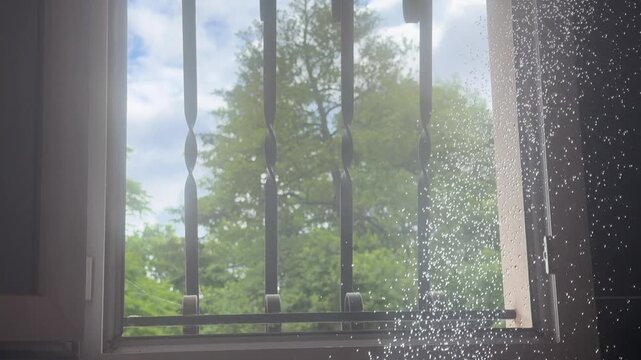 Water Spraying Against a Bathroom Window with a Garden View