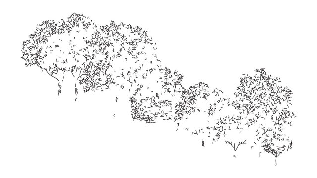 Hand drawn top view of tree cluster sketch for architectural landscape planning projects.