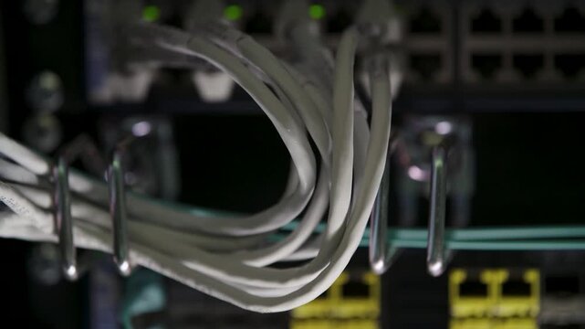 Network cables bundled together in a server rack, close-up on organized wiring