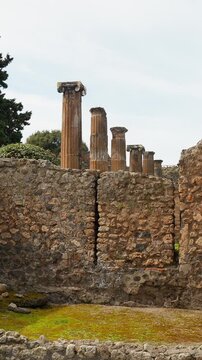 Vertical view of a Pompeii courtyard ruin with tall Roman columns rising behind stone walls and an open central area, revealing the layout of an ancient peristyle garden space.