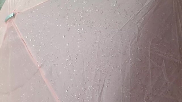 raindrops on the pink umbrella